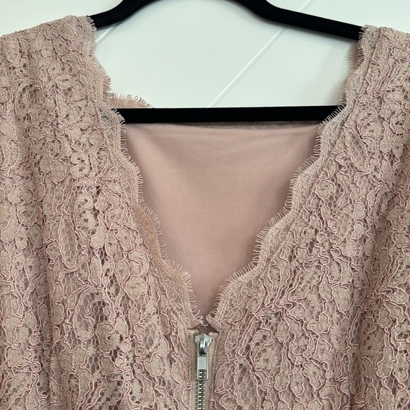 Adrianna Papell Dusty Rose Lace Dress - Picture 5 of 6